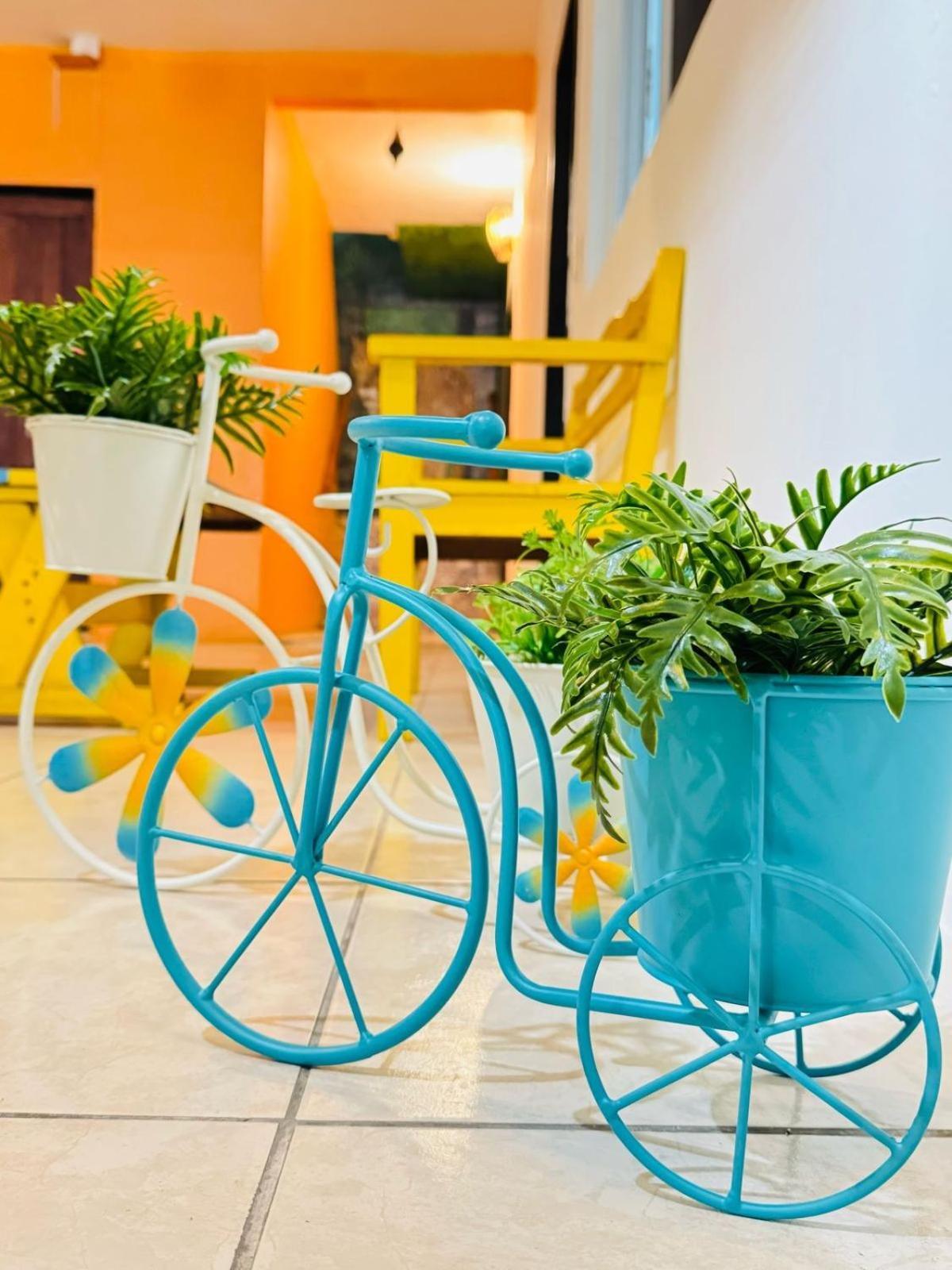 Ruta Del Sol Tulum Exterior foto